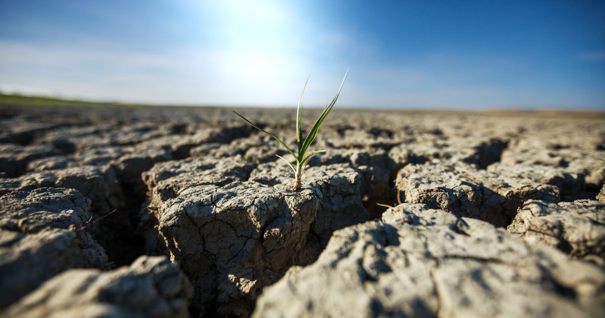 Desertificazione e siccità, l'aalarme dell'Onu